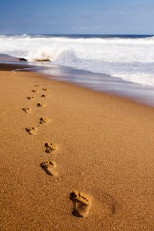 Holistic Life Coaching. Library Image: Footsteps in Sand